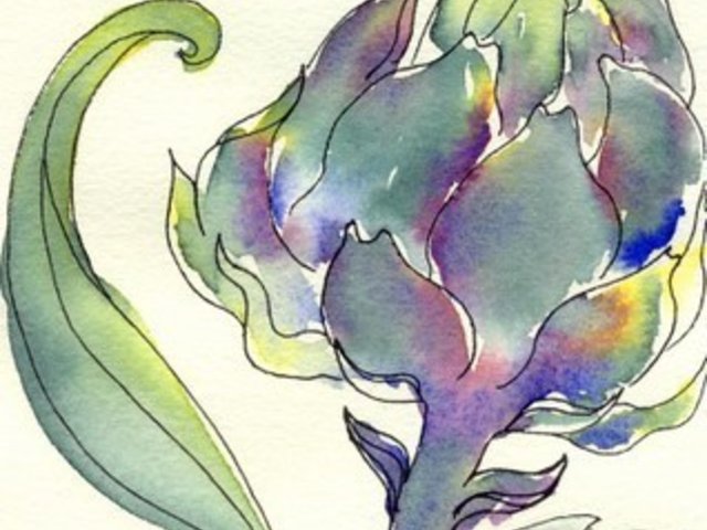 Artichoke watercolor detail